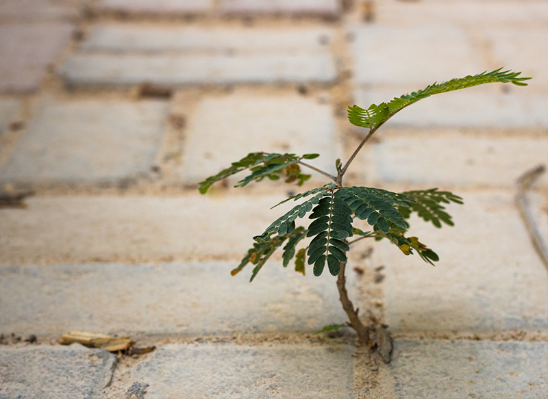 When Fixing Isn’t an Option